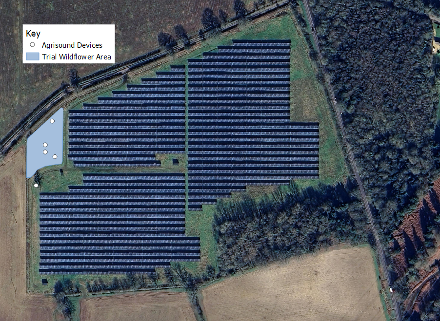 A map of our Romsey solar farm, highlighting the distribution of Polly devices, allowing us to compare the impact of our wildflower areas on pollinators.