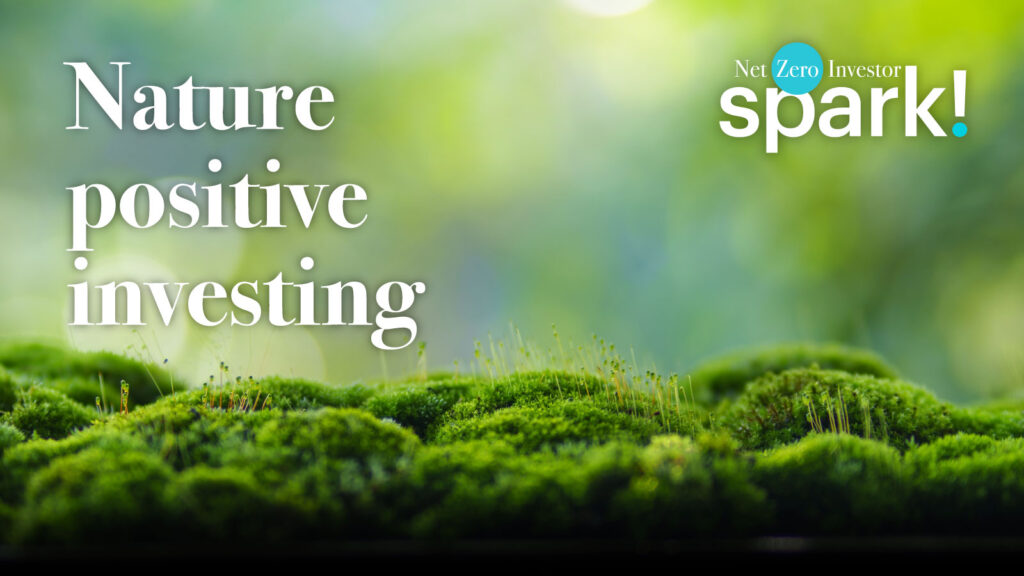 NZI Spark! - Nature positive investing